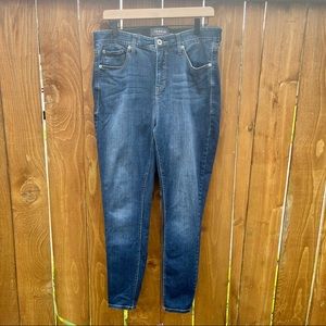 Torrid Premium Sky High Skinny 14R